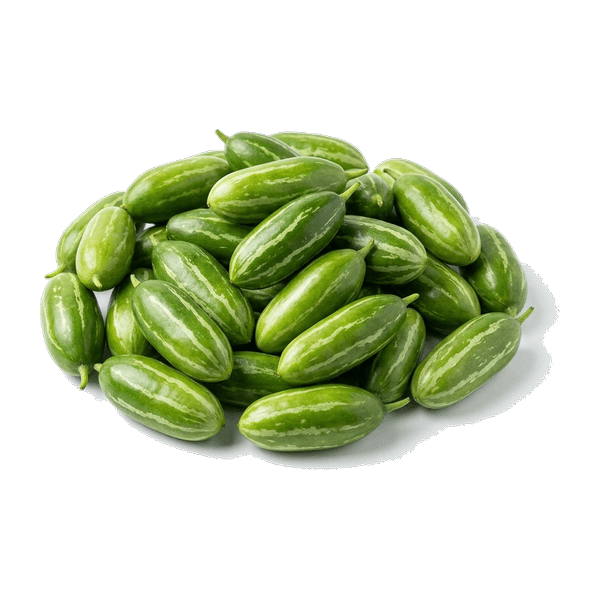 Tindora