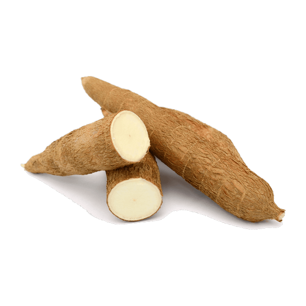 Shankar Cassava Yuga