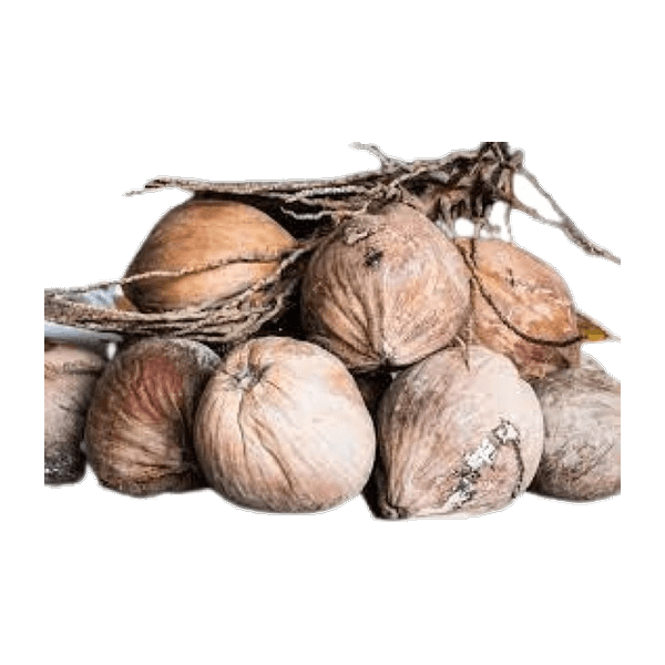 Whole Fresh Coconut