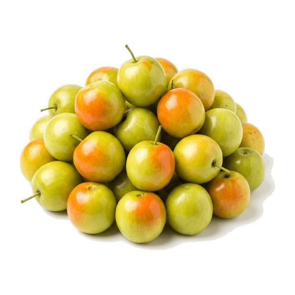 Apple Bore