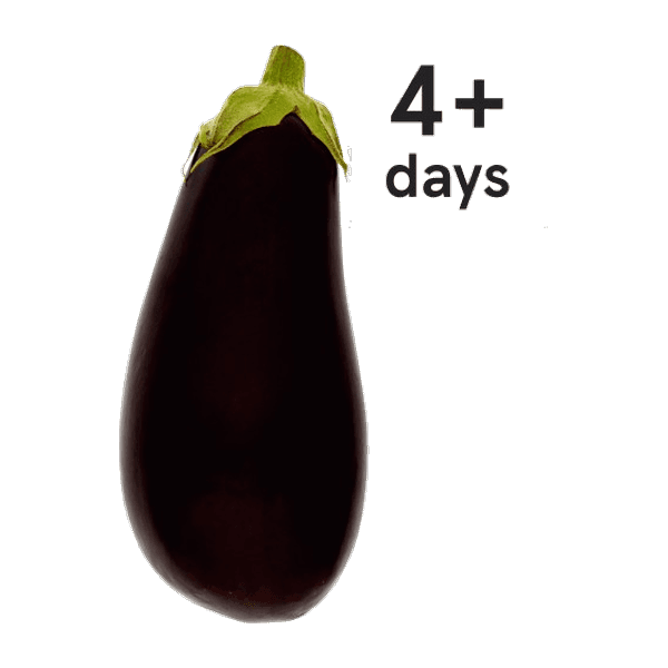 Aubergine Big