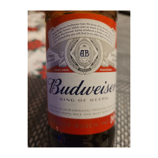 Bud 4 Pack Pint Can