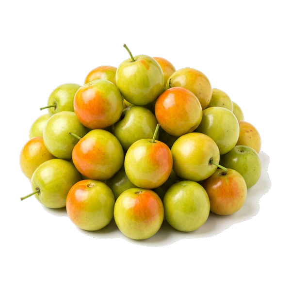 Apple Bore