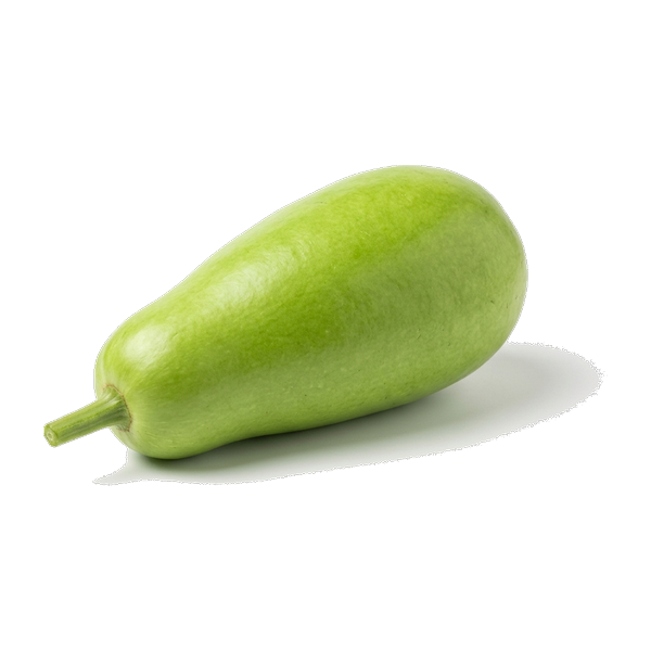Dudhi