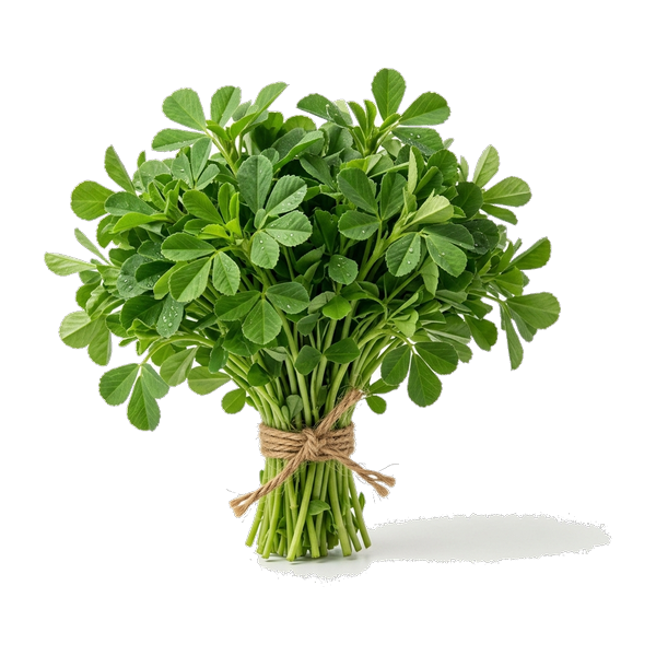 Methi Bunch