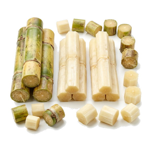 Sugar Cane
