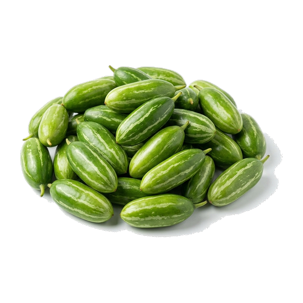 Tindora