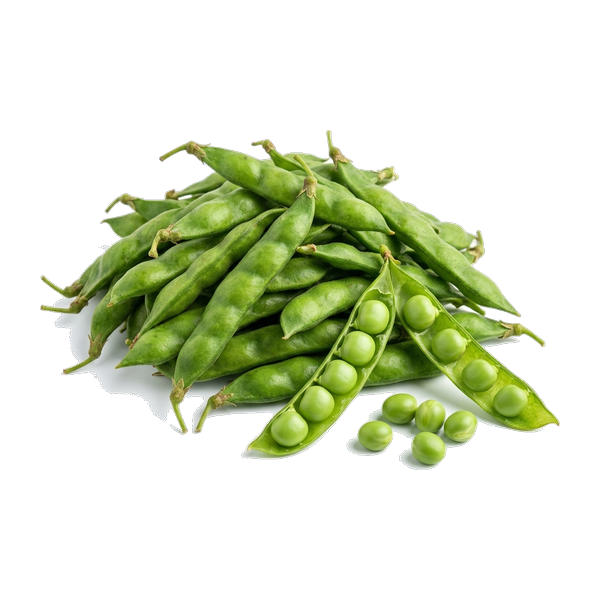 Tuver Beans