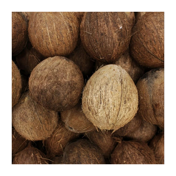 Coconut