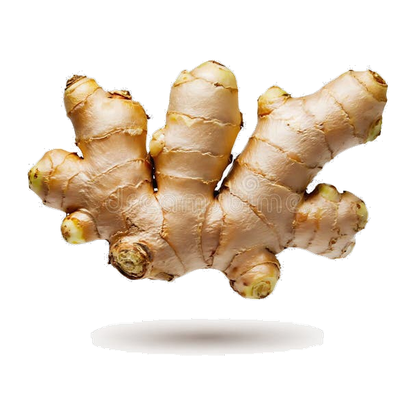 Ginger