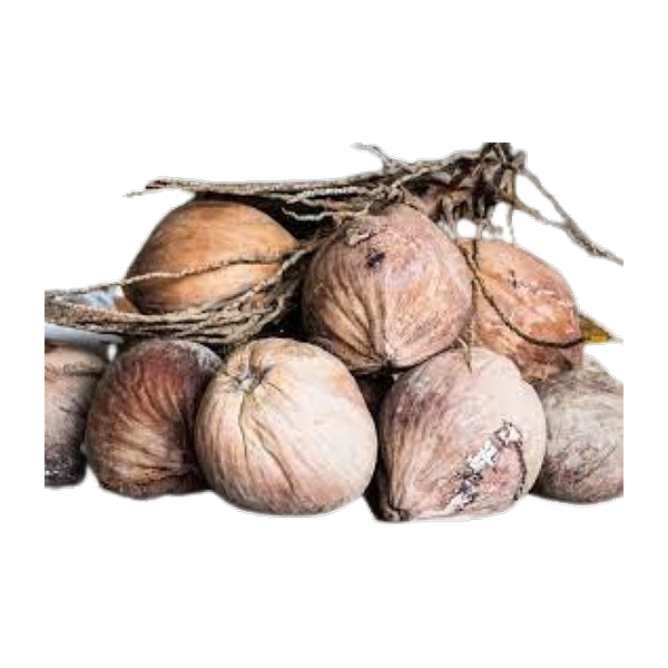 Whole Fresh Coconut